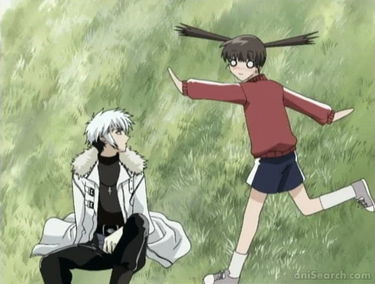 Fruits Basket (2001 TV Series) DVD