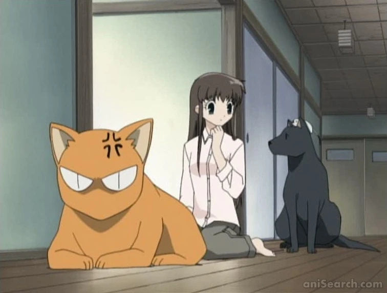 Fruits Basket (2001 TV Series) DVD