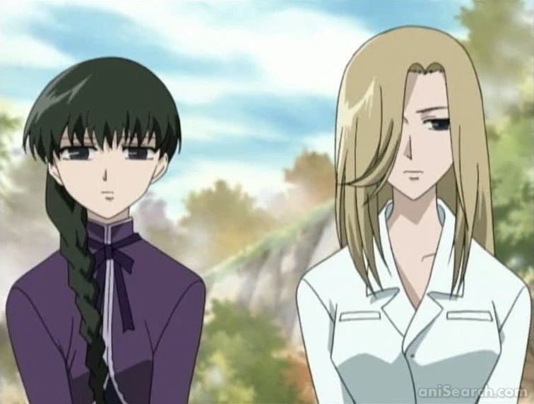 Fruits Basket (2001 TV Series) DVD
