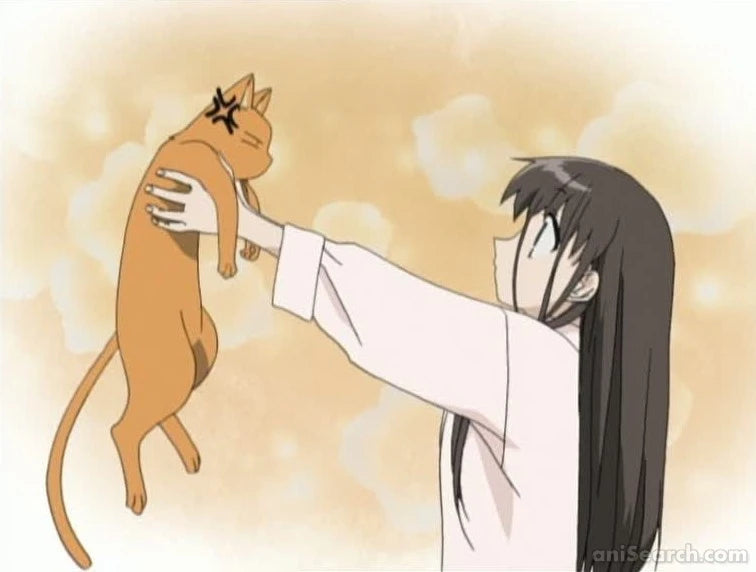 Fruits Basket (2001 TV Series) DVD