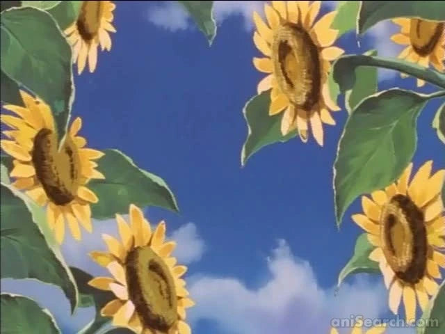 Kurogane Communication DVD