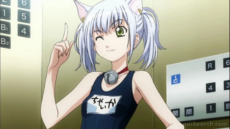 Cat Planet Cuties - Blu-ray & DVD