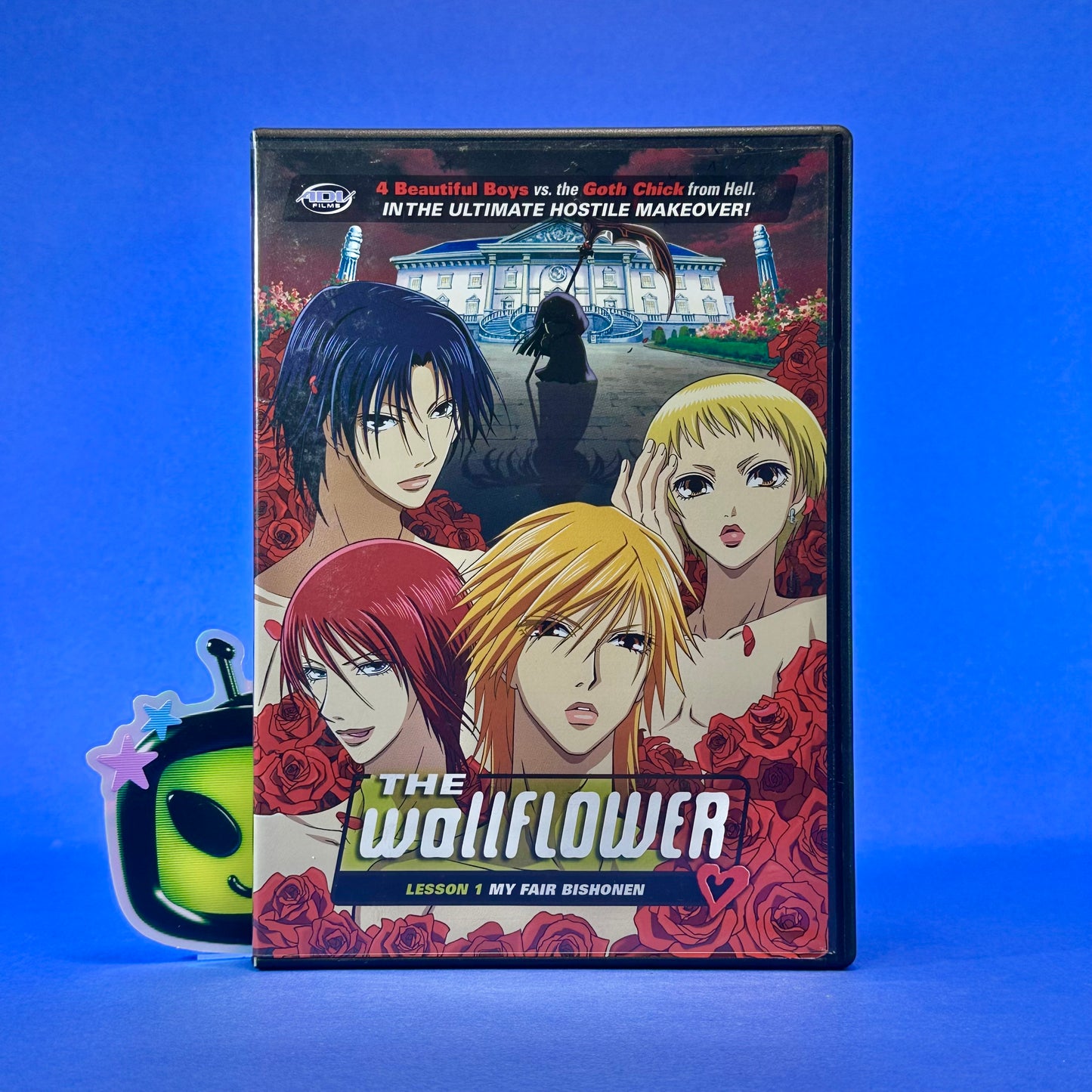 The Wallflower - DVD