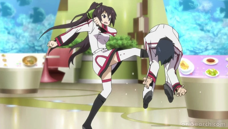 Infinite Stratos - Blu-Ray