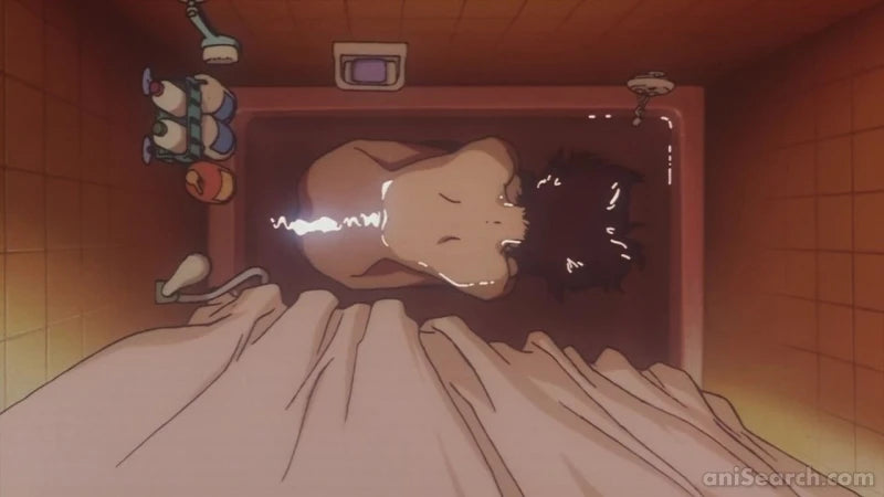 Perfect Blue DVD