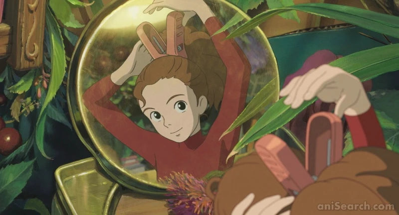 The Secret World of Arrietty - Blu-Ray & DVD