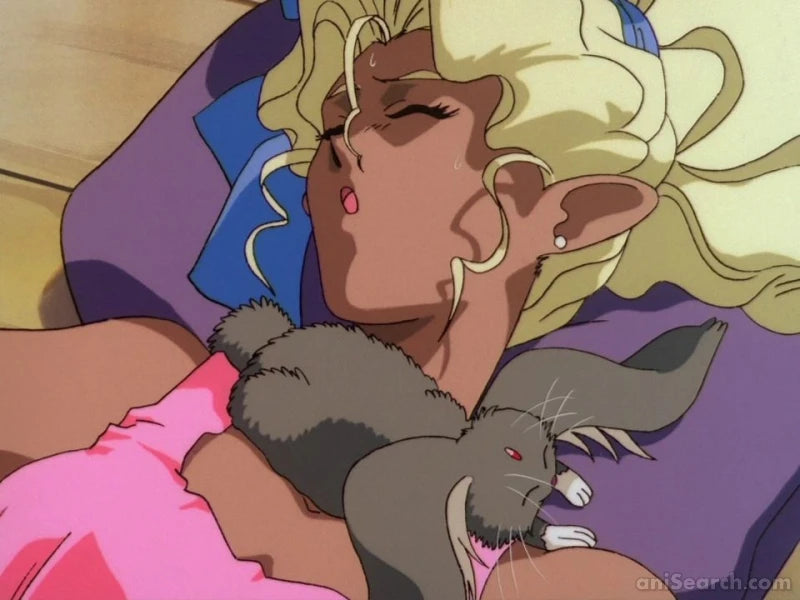 Tenchi Muyo! Mihoshi Special & Magical Girl Pretty Sammy 2-in-1 DVD