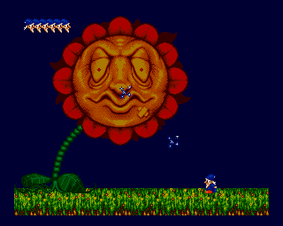Wiz n Liz - Sega Genesis