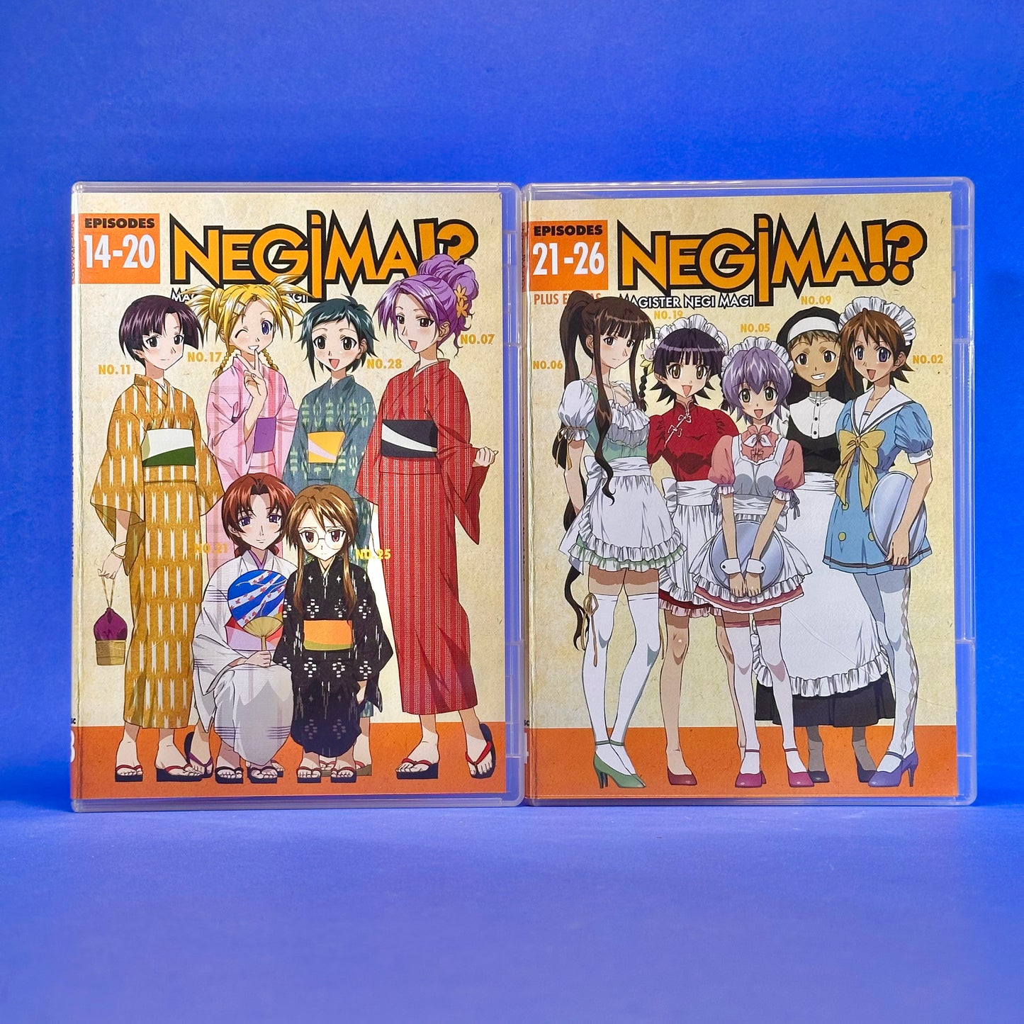 Negima!? Magister Negi Magi DVD