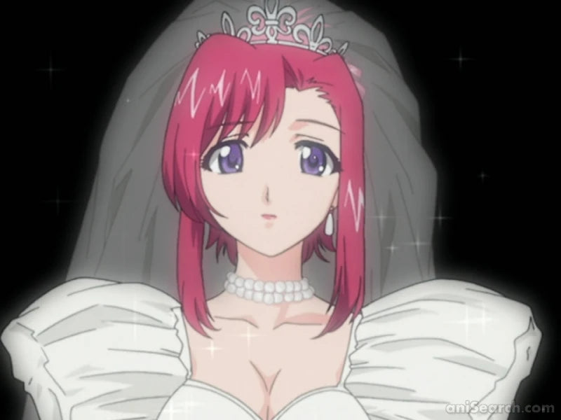 Please☆Teacher! DVD