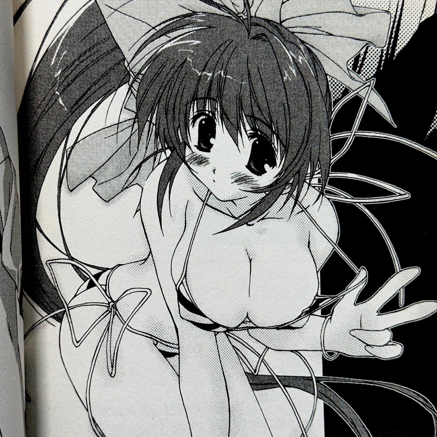 Comic Party - Manga