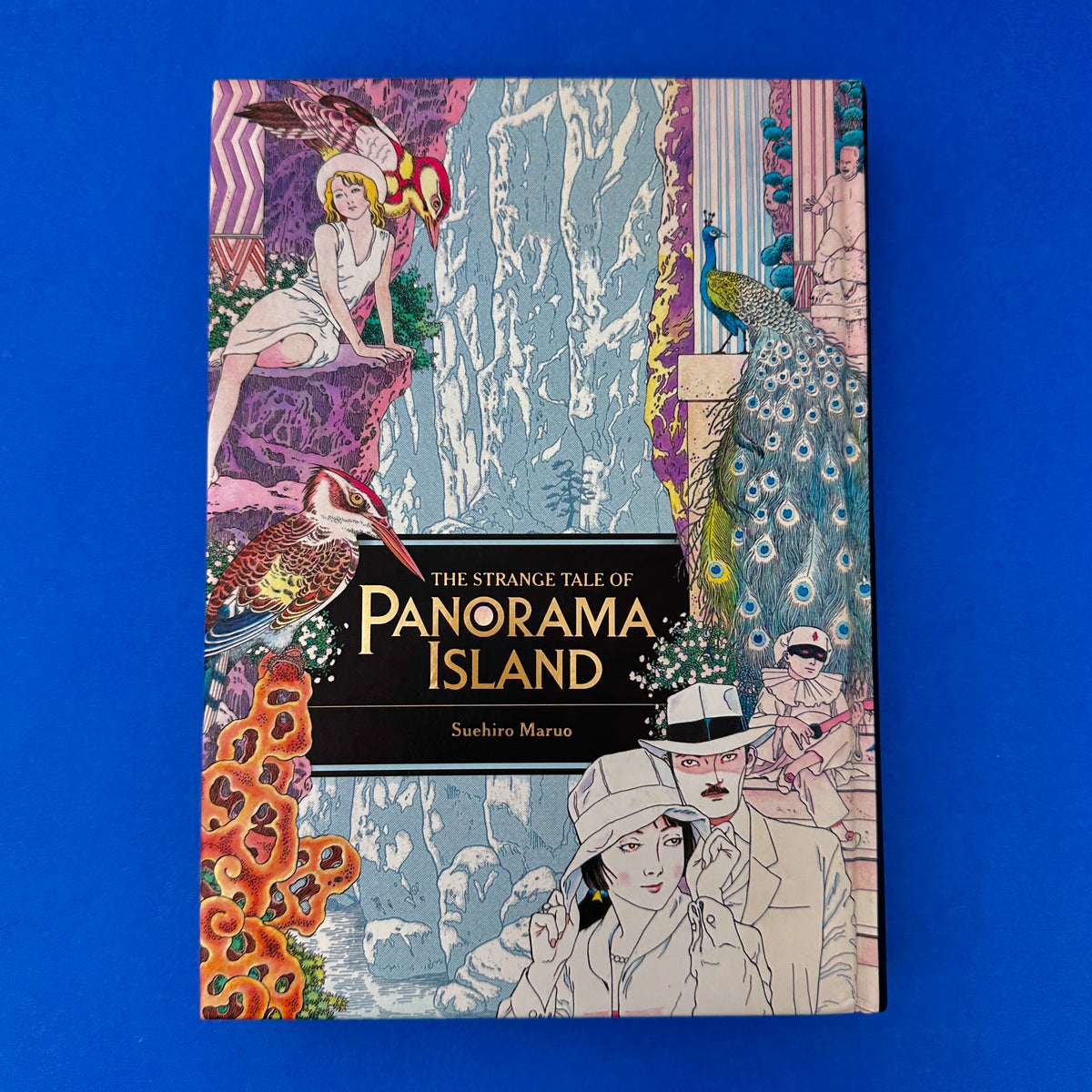 Suehiro Maruo - The Strange Tale of Panorama Island Manga