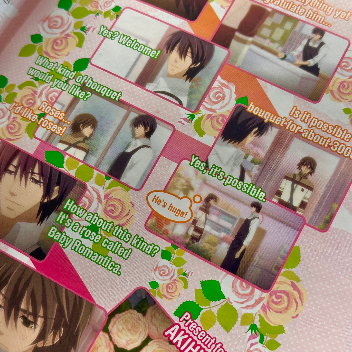 Junjo Romantica - Season Two DVD
