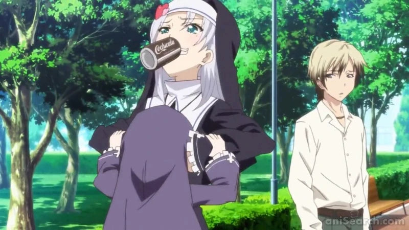 Haganai: I Don't Have Many Friends NEXT - Blu-ray & DVD