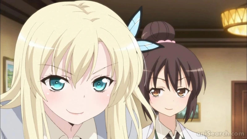 Haganai: I Don't Have Many Friends NEXT - Blu-ray & DVD