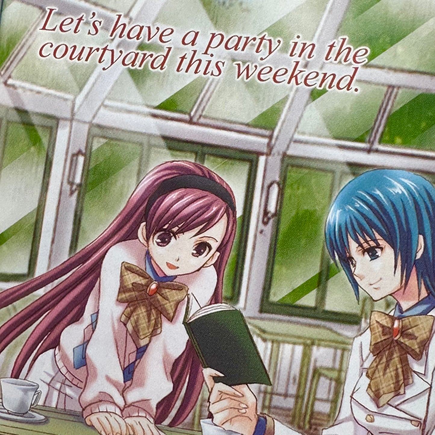 Sakurako Kimino - Strawberry Panic Light Novel