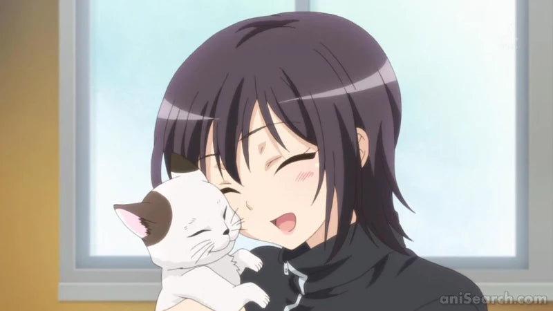 Haganai: I Don't Have Many Friends NEXT - Blu-ray & DVD