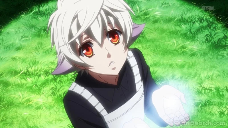 Karneval - Blu-ray & DVD