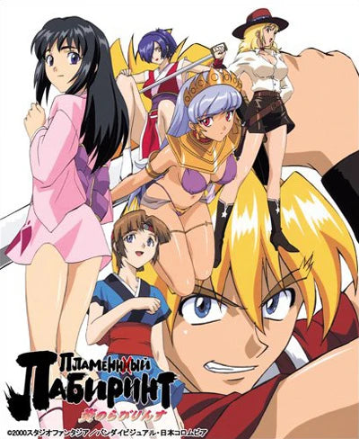 Labyrinth of Flames DVD