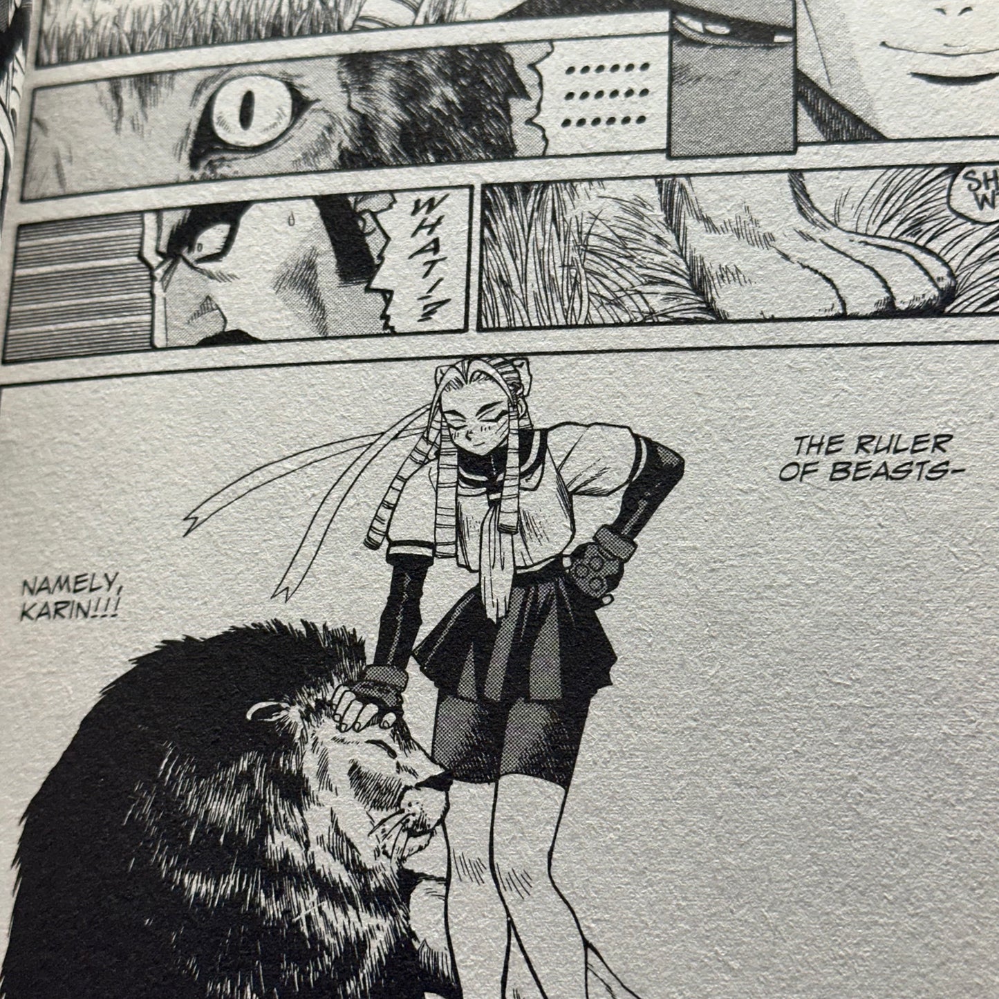 Masahiko Nakahira - Street Fighter: Sakura Ganbaru! Manga