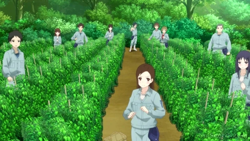 No-Rin - Blu-ray