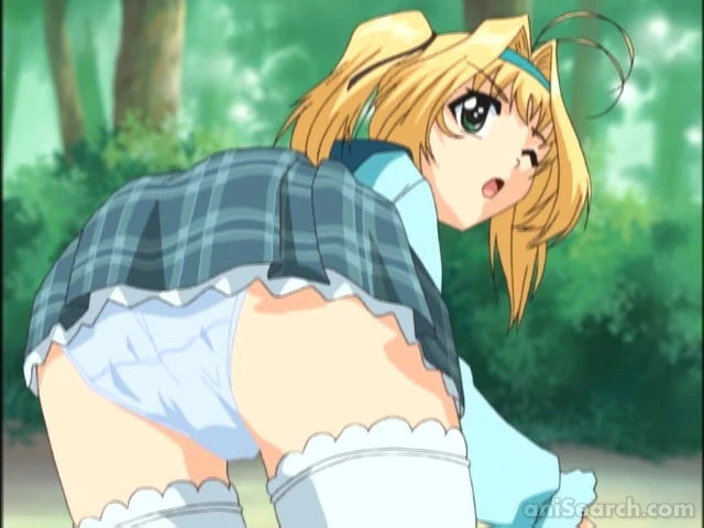 Maple Colors Blu-Ray