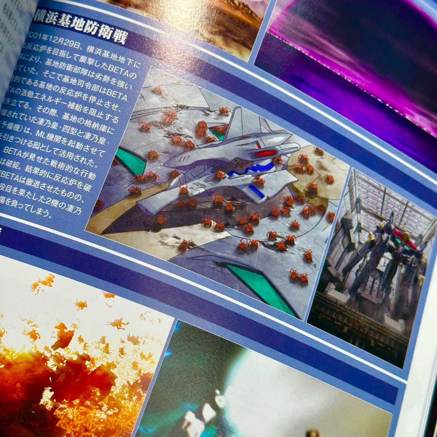 Muv-Luv Alternative Memorial Art Book