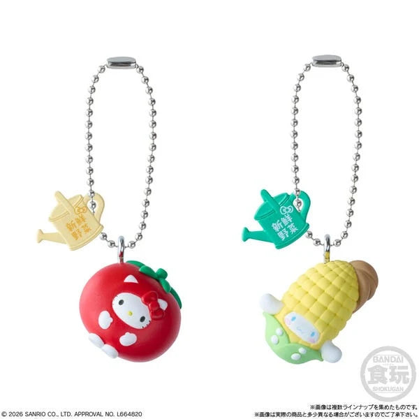 Bandai - Sanrio Hello Kitty and Friends ~Wave 3~ Shokugan Blind Box