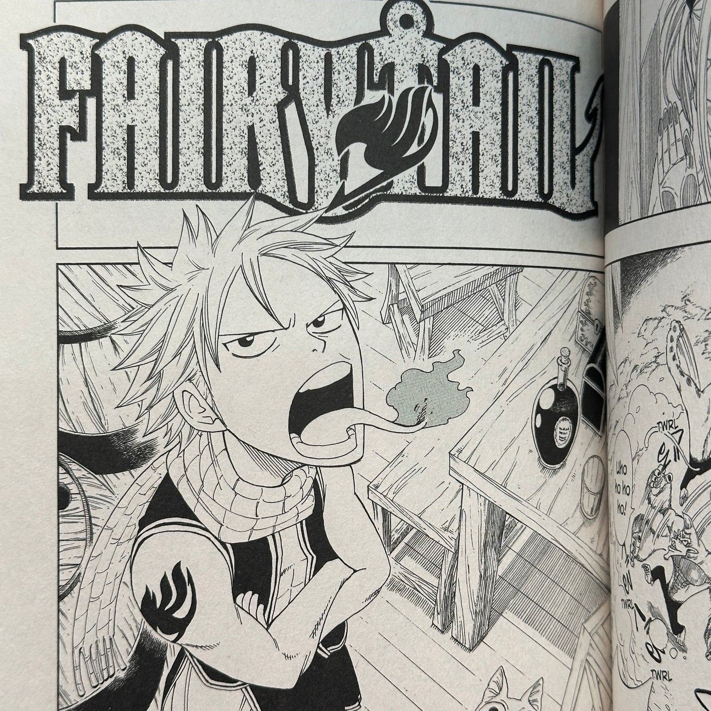 Hiro Mashima - Fairy Tail Manga