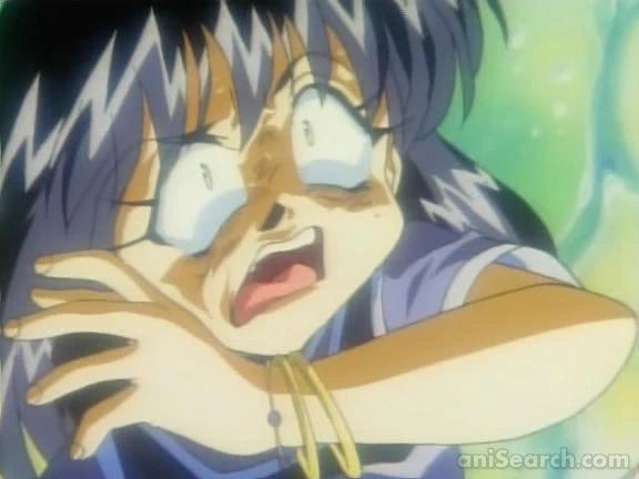 The Slayers NEXT ~Season 2~ DVD