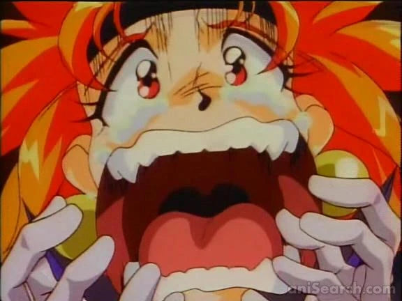 The Slayers NEXT ~Season 2~ DVD
