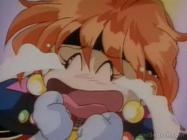 The Slayers ~Season 1~ DVD