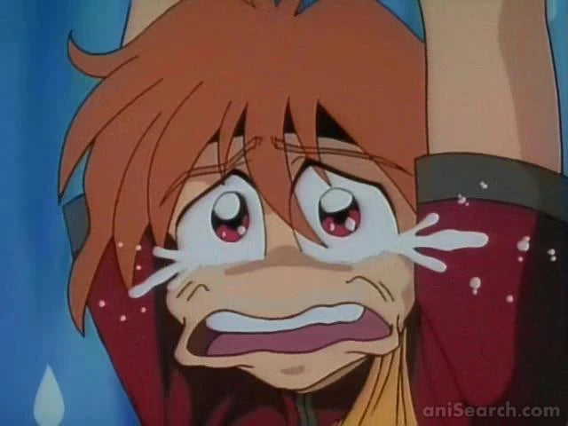 The Slayers ~Season 1~ DVD