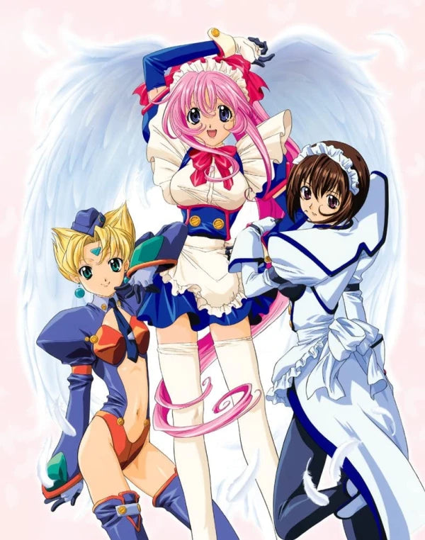 Steel Angel Kurumi - DVD