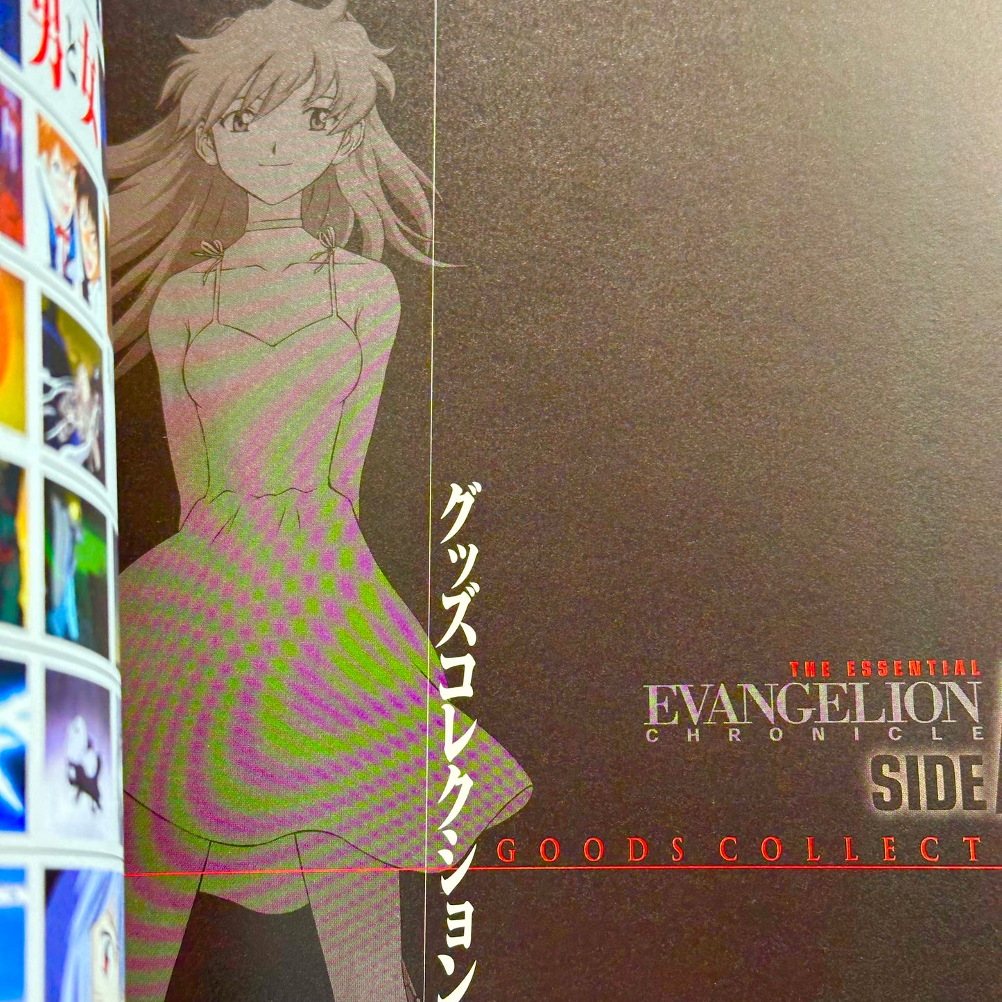 Neon Genesis Evangelion: Essential Chronicle ~SIDE A~ Art Book