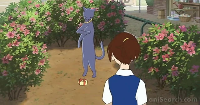 Cat Returns - Blu-Ray & DVD