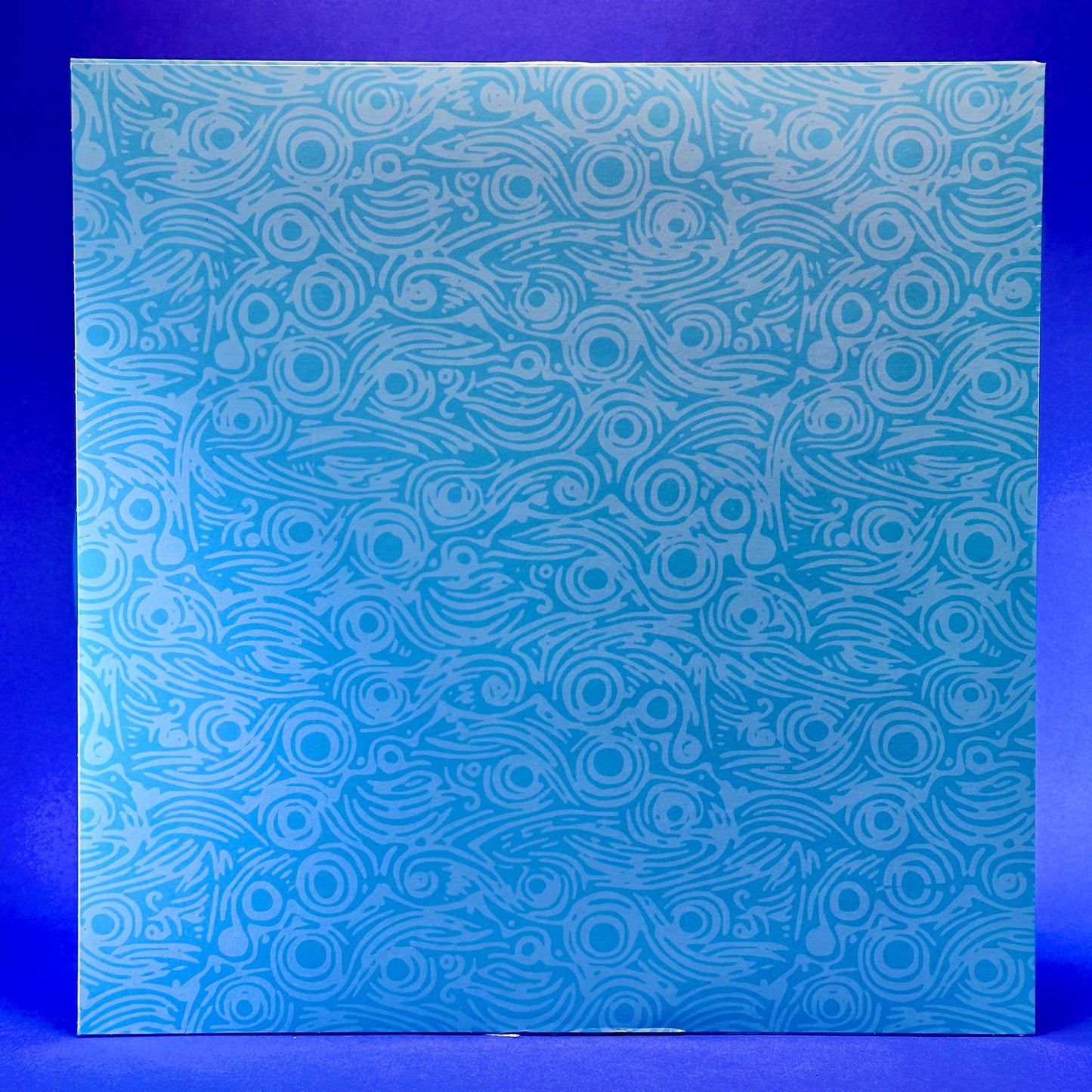 Legend of Zelda - BOTW Vinyl Record Collection