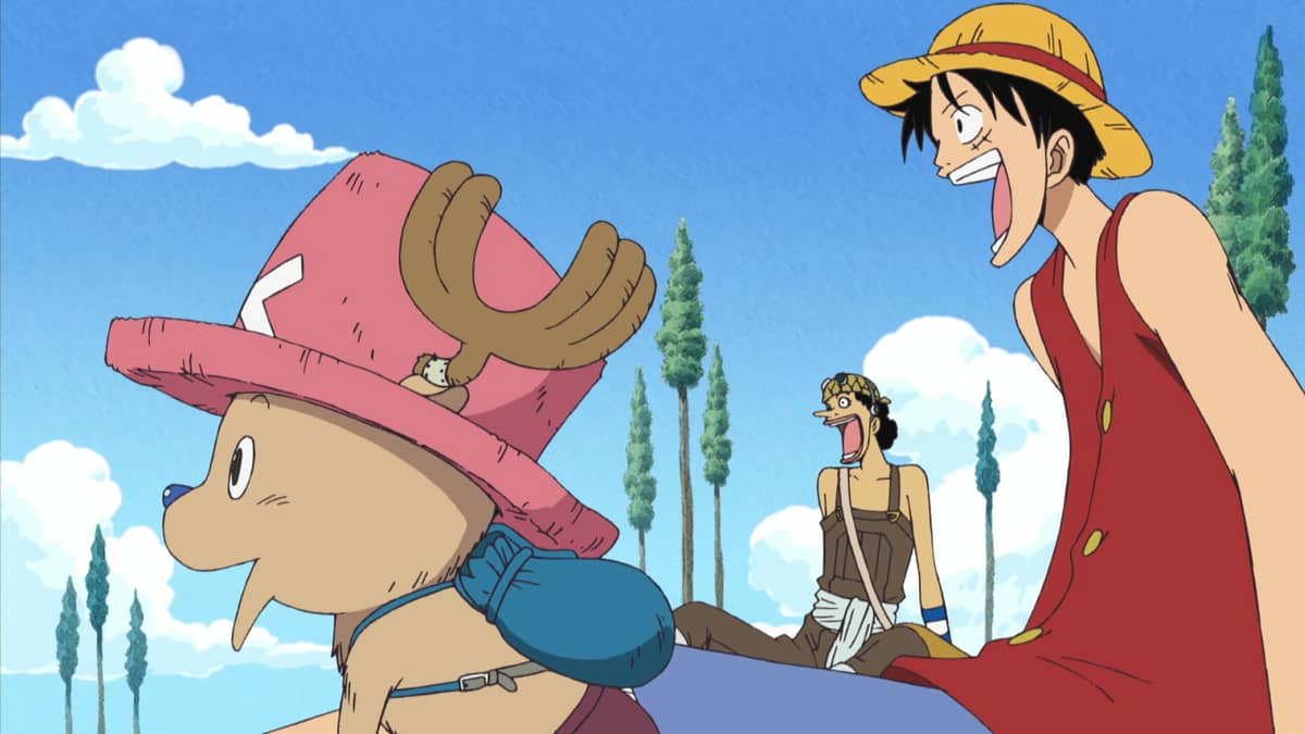 One Piece - Collection 9 DVD