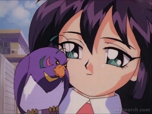 Tenchi Muyo! Mihoshi Special & Magical Girl Pretty Sammy 2-in-1 DVD