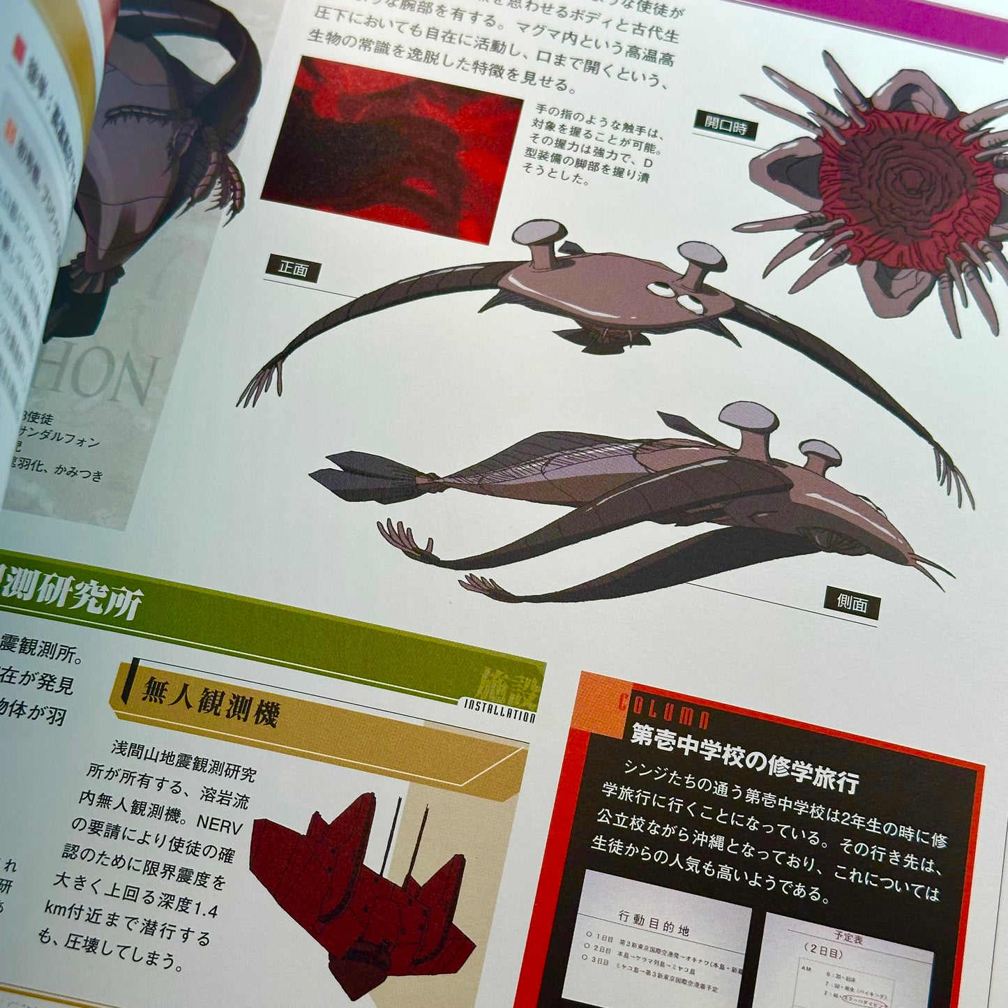 Neon Genesis Evangelion: Essential Chronicle ~SIDE A~ Art Book
