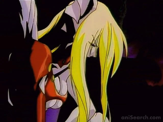 Princess Rouge: Legend of the Last Labyrinth VHS