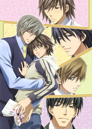 Junjo Romantica - Season One DVD
