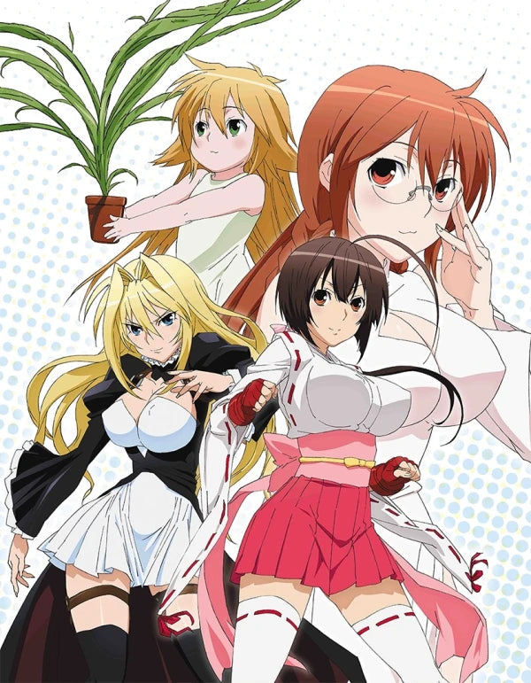 Sekirei: Season One + Pure Engagement - Blu-Ray & DVD