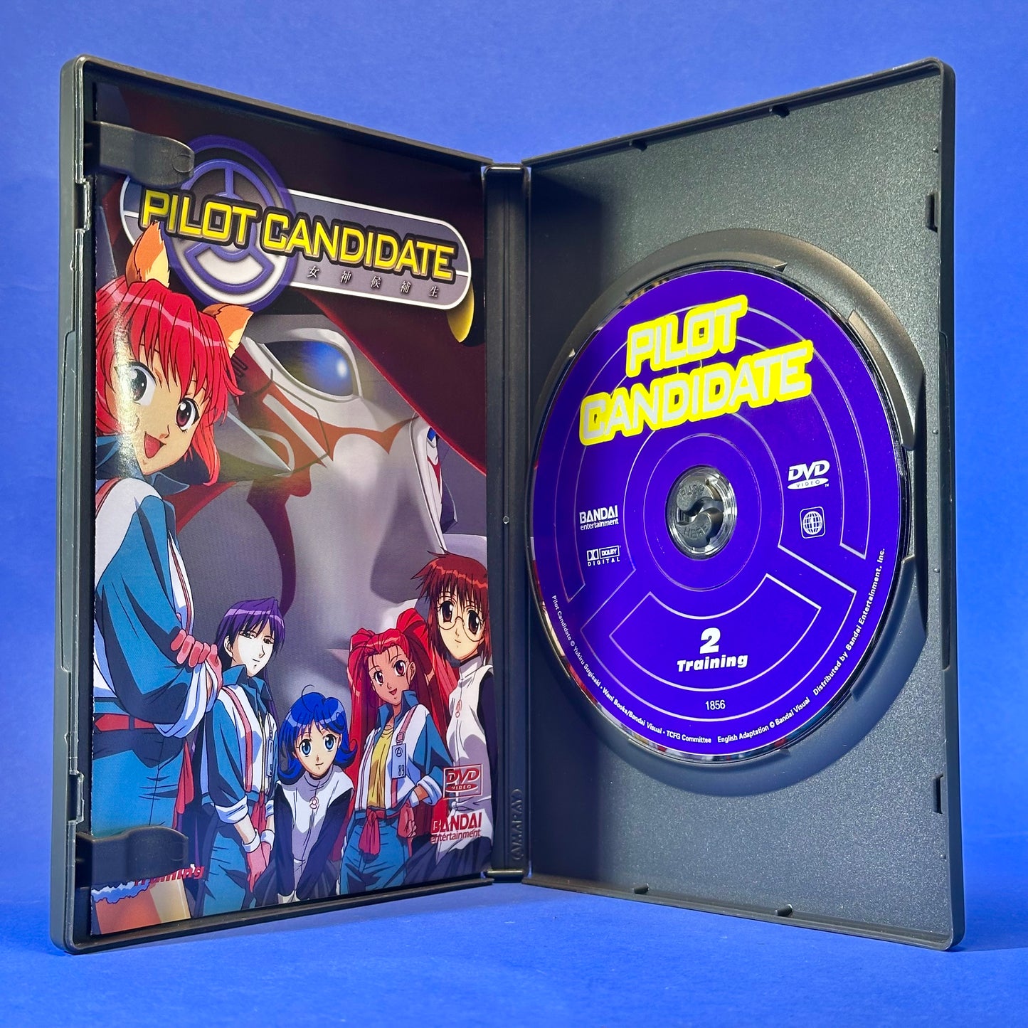 Pilot Candidate DVD