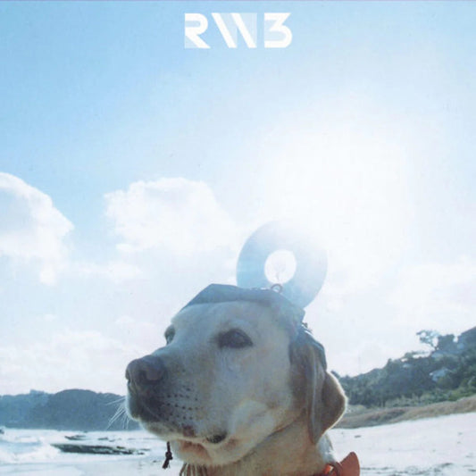 Radwimps 3 ~Mujintou Ni Motteikiwasureta Ichimai~ Vinyl Record