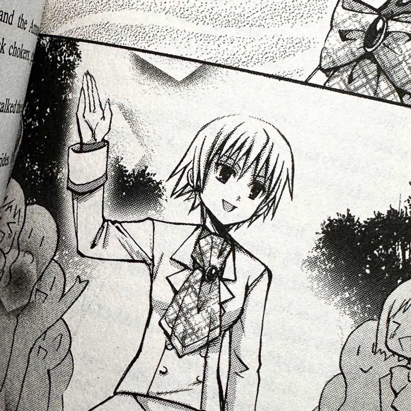 Sakurako Kimino - Strawberry Panic Light Novel