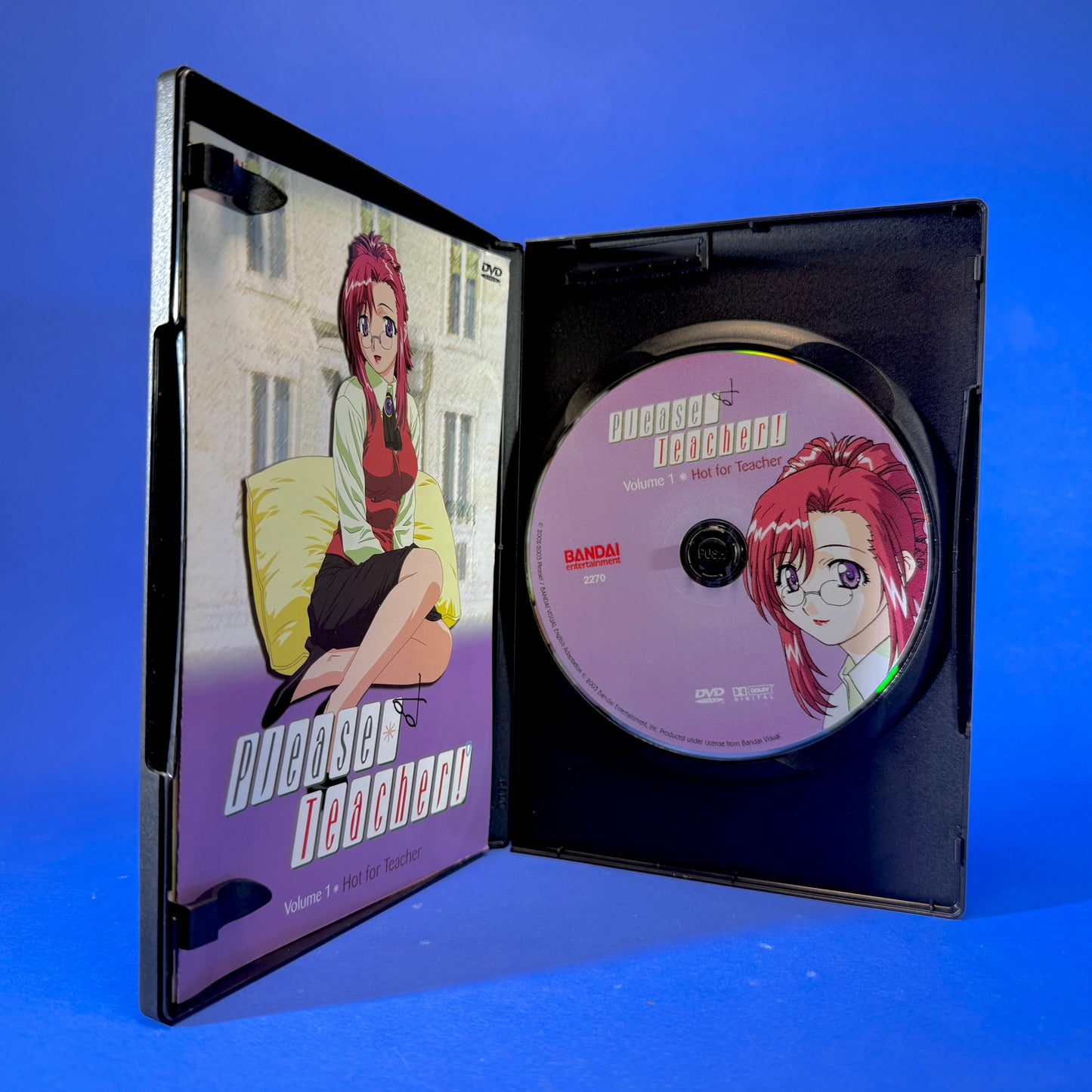 Please☆Teacher! DVD