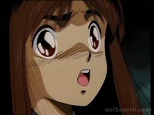 Takegami: Guardian of Darkness VHS