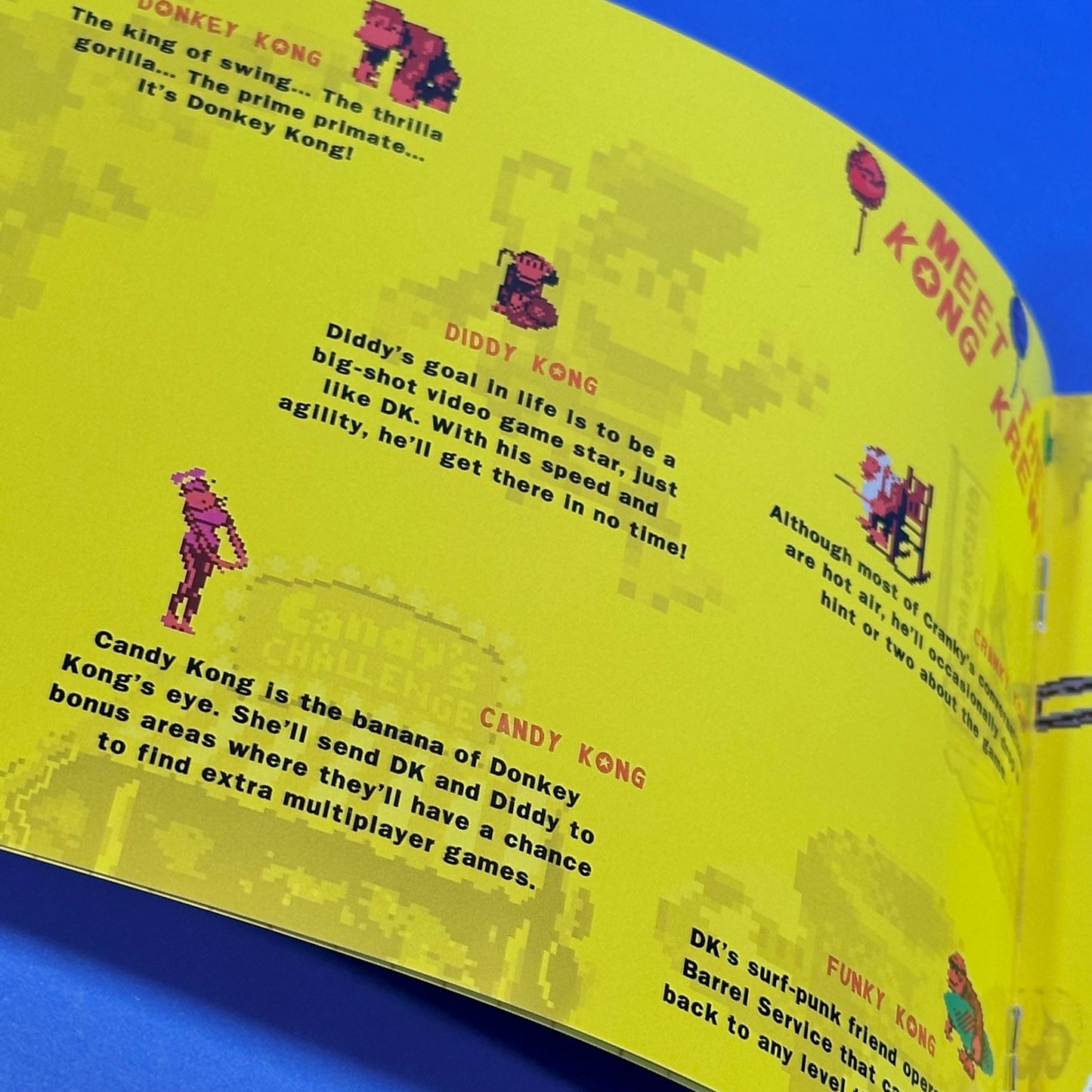 Donkey Kong GBC - Vinyl Record