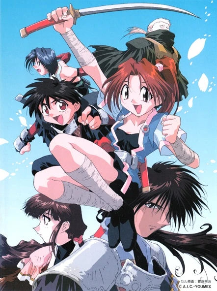 Ninja Cadets! DVD